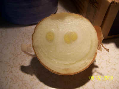 onion-smile 003.JPG (711089 bytes)