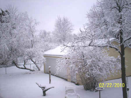 2010-02-22snow 003r.jpg (262011 bytes)