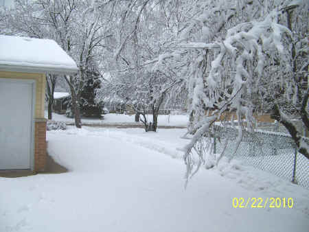 2010-02-22snow 005.jpg (272176 bytes)