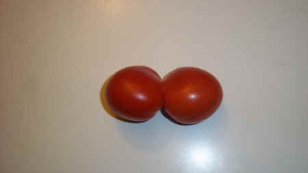 100_2278.JPG (1247082 bytes)