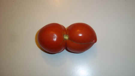 100_2279.JPG (1206467 bytes)