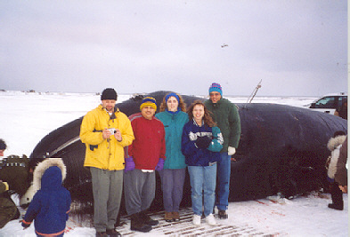 Bowhead Whale
