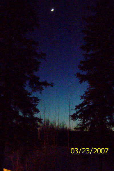 Alaska-Spring 072.jpg (676754 bytes)