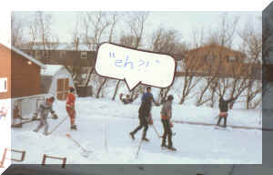 rink2.jpg (216157 bytes)