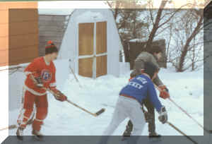 rink3.jpg (217879 bytes)