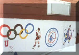 rink.jpg (246617 bytes)