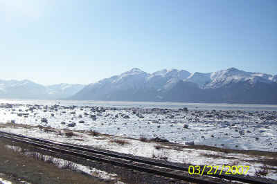 Alaska-Spring 309.jpg (544046 bytes)