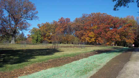 100_5645.JPG (2854667 bytes)