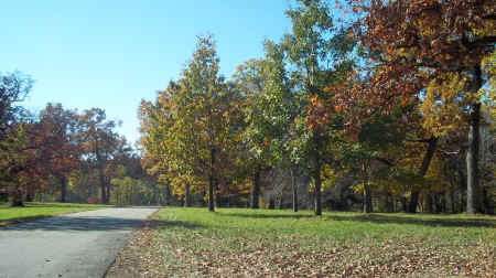 100_5648.JPG (2195693 bytes)