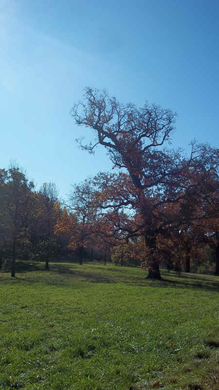100_5650.JPG (2572425 bytes)