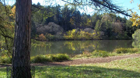 100_5655.JPG (1987380 bytes)