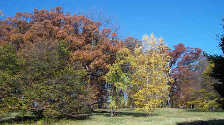 100_5668.JPG (4261766 bytes)