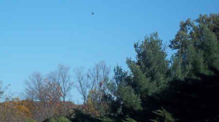 100_5748.JPG (658866 bytes)