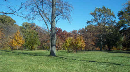 100_5752.JPG (2609501 bytes)