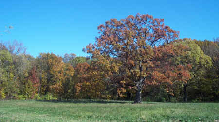 100_5755.JPG (2127503 bytes)