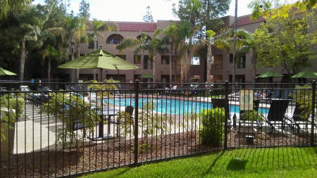 Image may contain: tree, pool and outdoor