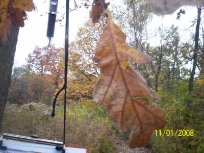 08-11-01BASS 017.jpg (969284 bytes)