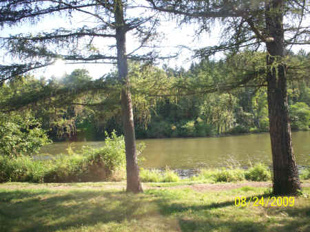 arboretum 001.jpg (1031026 bytes)