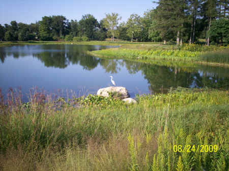 arboretum 006.jpg (1058972 bytes)