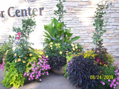 arboretum 033.jpg (1053658 bytes)