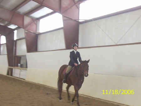 Horse Show 042.jpg (139169 bytes)