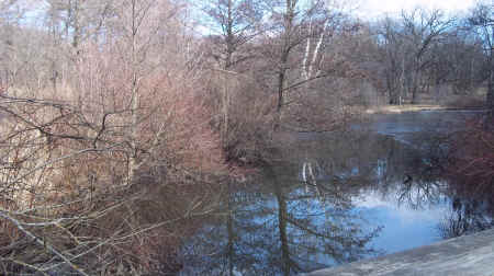 100_7434.JPG (1991150 bytes)