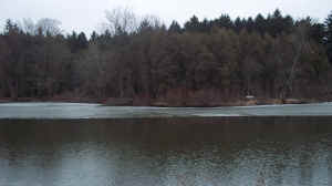 Marmo_2012-03-01_B.JPG (2161944 bytes)