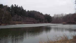 Marmo_2012-03-01_C.JPG (2222652 bytes)