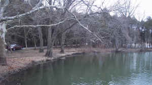 Marmo_2012-03-07_D.JPG (1133879 bytes)