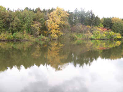 08-10-17 013.jpg (1331898 bytes)