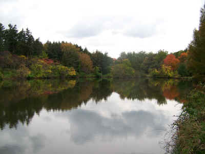 08-10-17 014.jpg (993286 bytes)