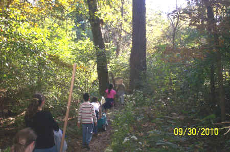 Rotts Creek 027.jpg (989190 bytes)