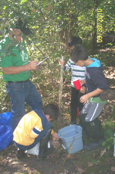 Rotts Creek 055.jpg (2506170 bytes)
