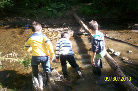 Rotts Creek 059.jpg (985628 bytes)
