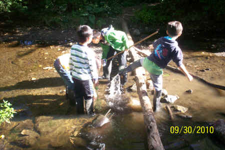 Rotts Creek 061.jpg (957336 bytes)