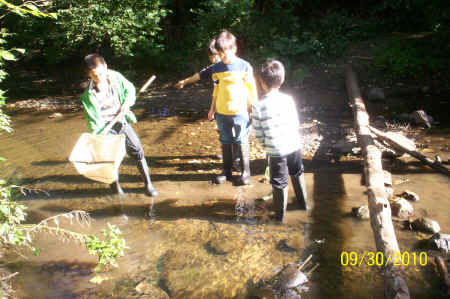 Rotts Creek 063.jpg (883384 bytes)