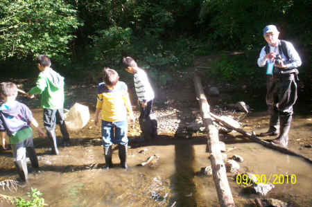 Rotts Creek 064.jpg (871716 bytes)