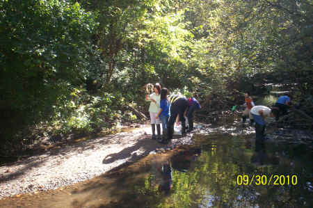 Rotts Creek 066.jpg (947710 bytes)