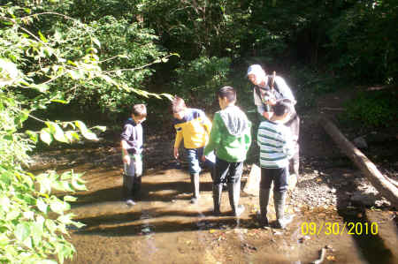 Rotts Creek 067.jpg (877060 bytes)