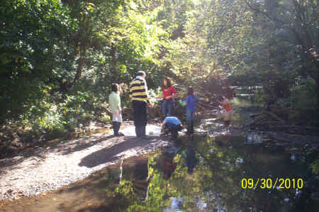 Rotts Creek 069.jpg (948508 bytes)