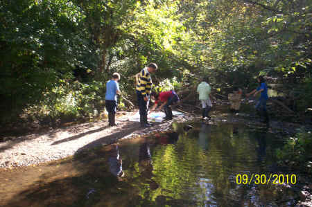 Rotts Creek 071.jpg (977972 bytes)