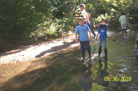 Rotts Creek 072.jpg (1101304 bytes)