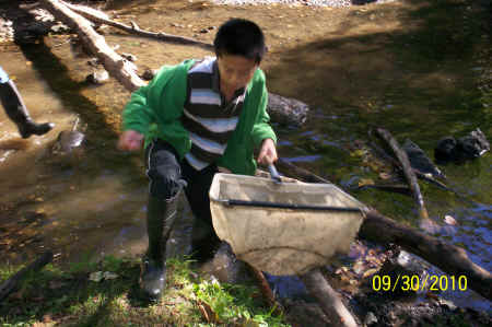 Rotts Creek 074.jpg (1048456 bytes)