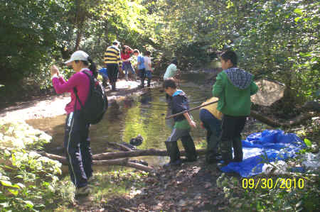 Rotts Creek 076.jpg (965102 bytes)