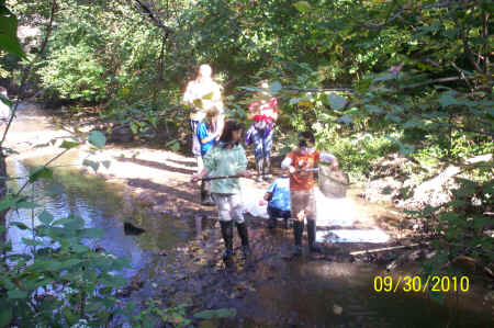 Rotts Creek 085.jpg (880730 bytes)
