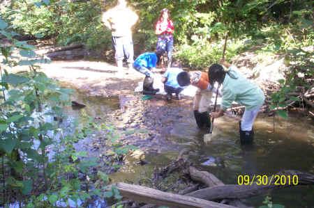 Rotts Creek 086.jpg (871026 bytes)