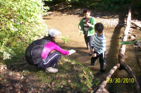 Rotts Creek 089.jpg (817472 bytes)