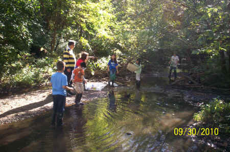 Rotts Creek 092.jpg (949242 bytes)