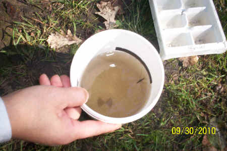 Rotts Creek 095.jpg (928946 bytes)