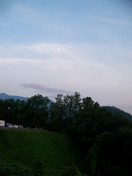 100_6313.JPG (574782 bytes)